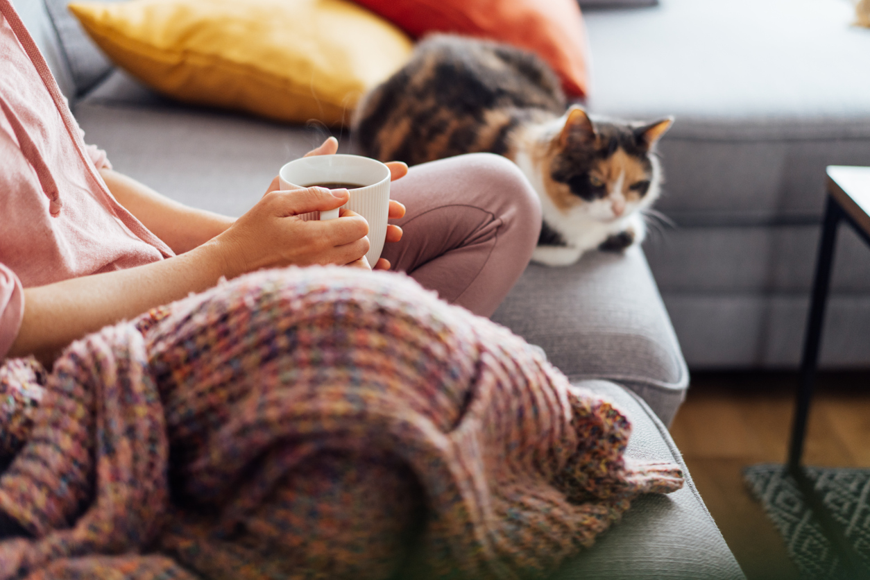 Close-up woman in a plaid drinking hot tea with relaxed cat on the sofa at home. Cozy and comfortable winter or autumn weekends. Pleasant ways to keep warm. Take a break and relax. Selective focus