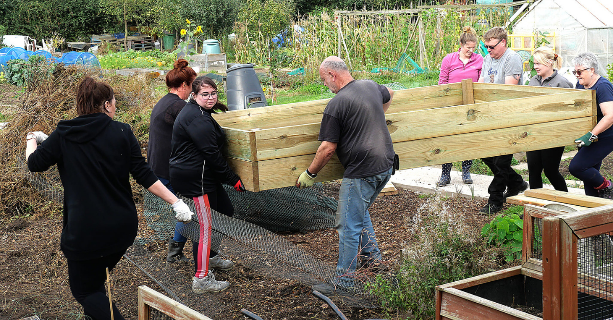 Hinckley & Rugby Building Society colleagues building a raised bed at Weddington Allotment Association.