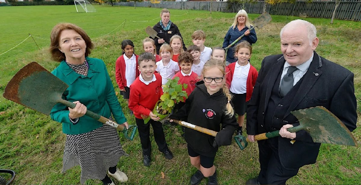 Free tree scheme launches for 2025